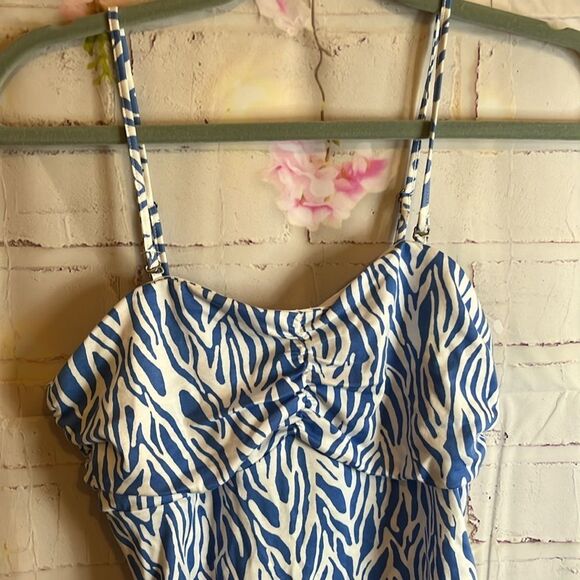 Women’s NWT DIANE VON FURSTENBERG BLUE ZEBRA PRINT CAMI TOP S, AND SKIRT XS SET - Picture 9 of 16